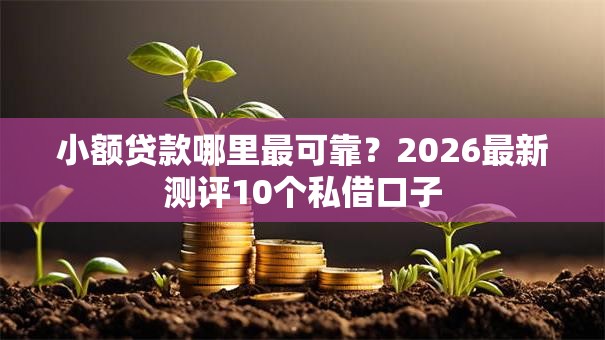 小额贷款哪里最可靠？2026最新测评10个私借口子