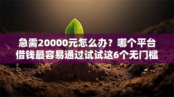 急需20000元怎么办?哪个平台借钱最容易通过试试这6个无门槛平台 急需20000元怎么办?哪个平台借钱最容易通过试试这6个无门槛平台