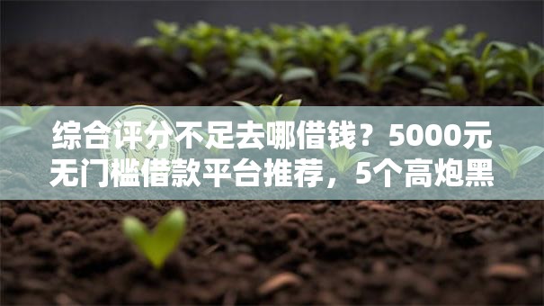 综合评分不足去哪借钱?5000元无门槛借款平台推荐,5个高炮黑户盘点 综合评分不足去哪借钱?5000元无门槛借款平台推荐,5个高炮黑户盘点