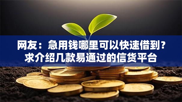 网友:急用钱哪里可以快速借到?求介绍几款易通过的信货平台 网友:急用钱哪里可以快速借到?求介绍几款易通过的信货平台