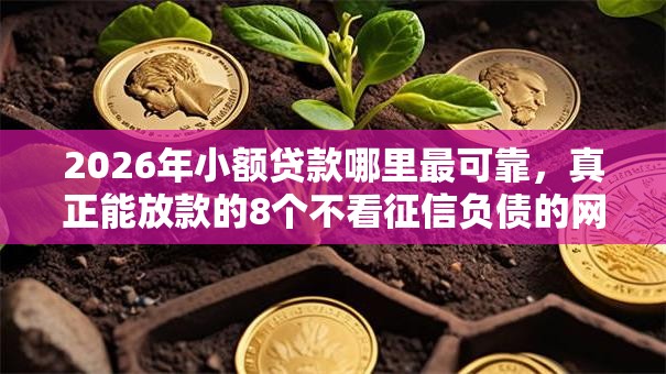 2026年小额贷款哪里最可靠,真正能放款的8个不看征信负债的网贷百分百下款口子推荐 2026年小额贷款哪里最可靠,真正能放款的8个不看征信负债的网贷百分百下款口子推荐