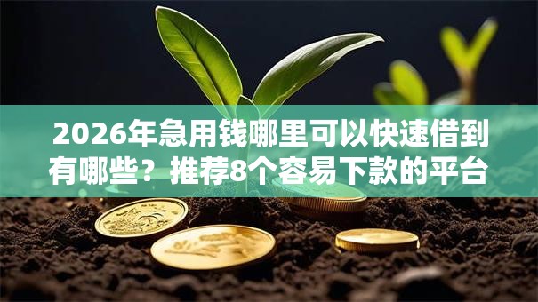 2026年急用钱哪里可以快速借到有哪些?推荐8个容易下款的平台 2026年急用钱哪里可以快速借到有哪些?推荐8个容易下款的平台