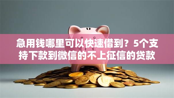 急用钱哪里可以快速借到？5个支持下款到微信的不上征信的贷款口子