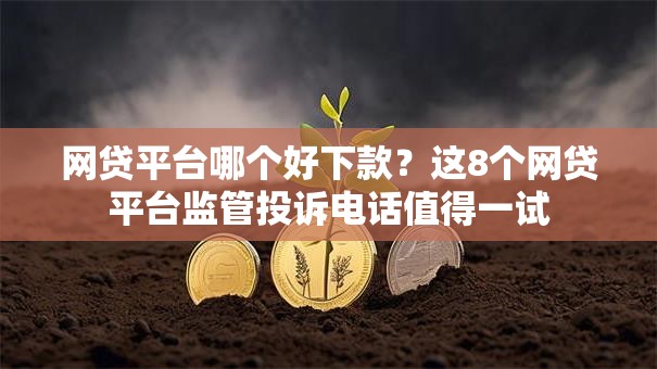 网贷平台哪个好下款?这8个网贷平台监管投诉电话值得一试 网贷平台哪个好下款?这8个网贷平台监管投诉电话值得一试