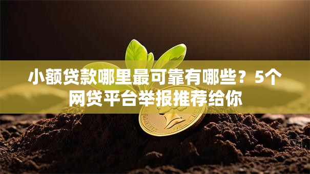 小额贷款哪里最可靠有哪些？5个网贷平台举报推荐给你