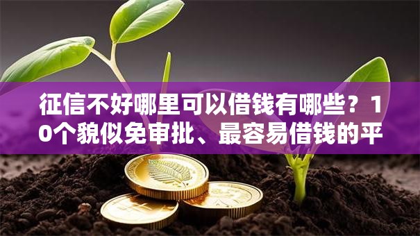 征信不好哪里可以借钱有哪些?10个貌似免审批、最容易借钱的平台合集 征信不好哪里可以借钱有哪些?10个貌似免审批、最容易借钱的平台合集