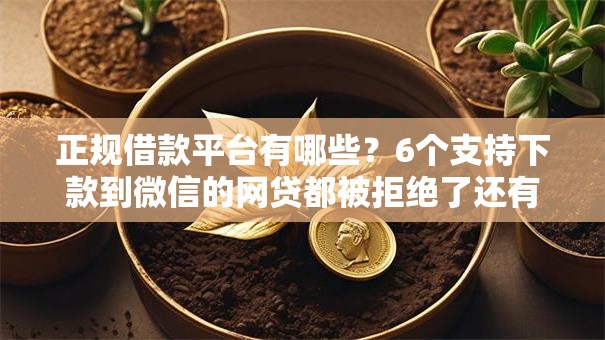 正规借款平台有哪些?6个支持下款到微信的网贷都被拒绝了还有什么口子 正规借款平台有哪些?6个支持下款到微信的网贷都被拒绝了还有什么口子