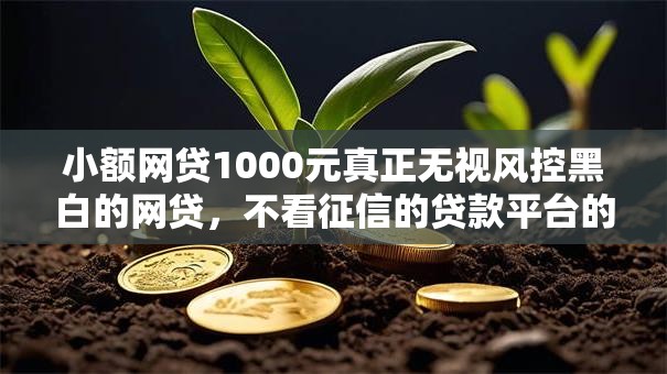 小额网贷1000元真正无视风控黑白的网贷,不看征信的贷款平台的8个平台介绍 小额网贷1000元真正无视风控黑白的网贷,不看征信的贷款平台的8个平台介绍