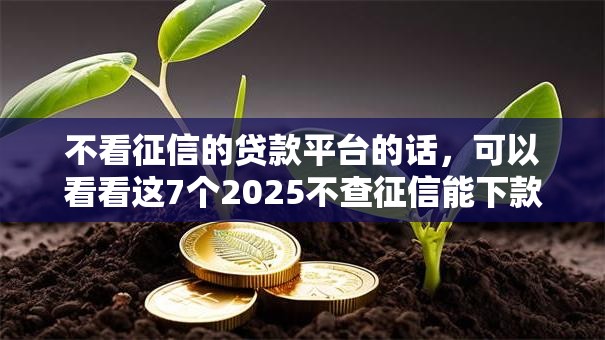 不看征信的贷款平台的话,可以看看这7个2025不查征信能下款的平台 不看征信的贷款平台的话,可以看看这7个2025不查征信能下款的平台