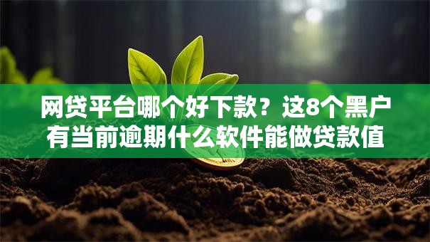 网贷平台哪个好下款?这8个黑户有当前逾期什么软件能做贷款值得一试 网贷平台哪个好下款?这8个黑户有当前逾期什么软件能做贷款值得一试