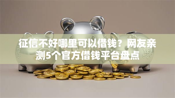 征信不好哪里可以借钱？网友亲测5个官方借钱平台盘点