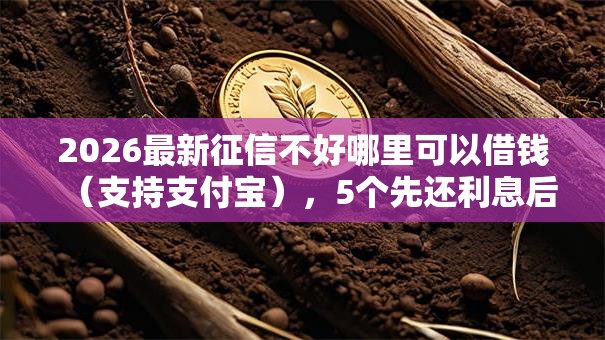 2026最新征信不好哪里可以借钱(支持支付宝),5个先还利息后还本金的贷款平台无私分享 2026最新征信不好哪里可以借钱(支持支付宝),5个先还利息后还本金的贷款平台无私分享