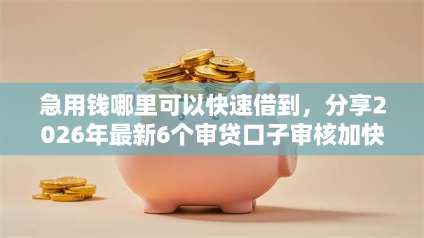 急用钱哪里可以快速借到，分享2026年最新6个审贷口子审核加快的平台