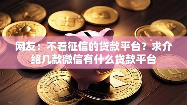 网友:不看征信的贷款平台?求介绍几款微信有什么贷款平台 网友:不看征信的贷款平台?求介绍几款微信有什么贷款平台