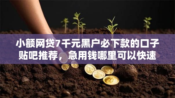 小额网贷7千元黑户必下款的口子贴吧推荐,急用钱哪里可以快速借到的8个平台介绍 小额网贷7千元黑户必下款的口子贴吧推荐,急用钱哪里可以快速借到的8个平台介绍