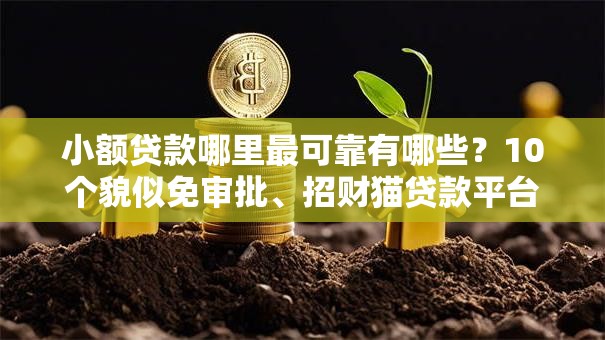 小额贷款哪里最可靠有哪些？10个貌似免审批、招财猫贷款平台怎么样合集