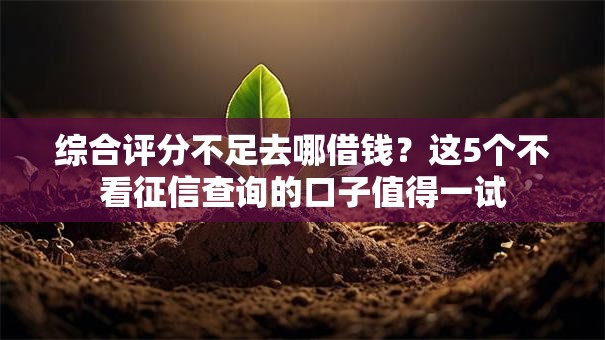 综合评分不足去哪借钱？这5个不看征信查询的口子值得一试