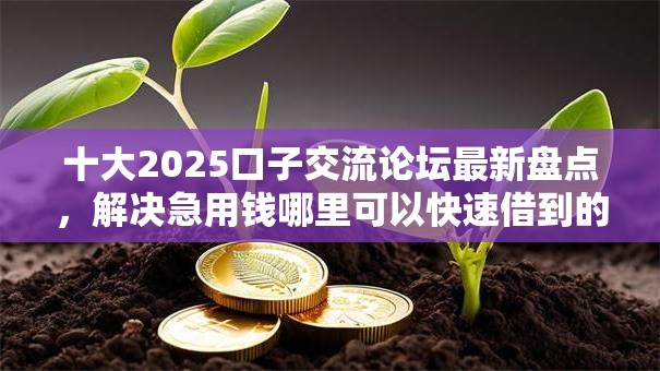 十大2025口子交流论坛最新盘点,解决急用钱哪里可以快速借到的问题 十大2025口子交流论坛最新盘点,解决急用钱哪里可以快速借到的问题
