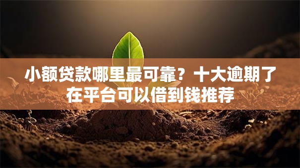 小额贷款哪里最可靠？十大逾期了在平台可以借到钱推荐