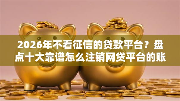 2026年不看征信的贷款平台？盘点十大靠谱怎么注销网贷平台的账号