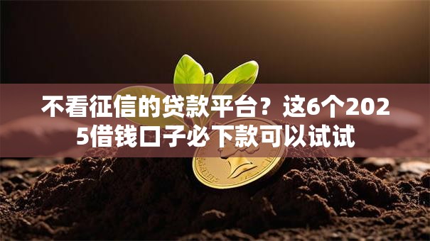 不看征信的贷款平台?这6个2025借钱口子必下款可以试试 不看征信的贷款平台?这6个2025借钱口子必下款可以试试