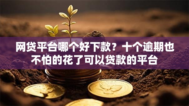网贷平台哪个好下款?十个逾期也不怕的花了可以贷款的平台 网贷平台哪个好下款?十个逾期也不怕的花了可以贷款的平台