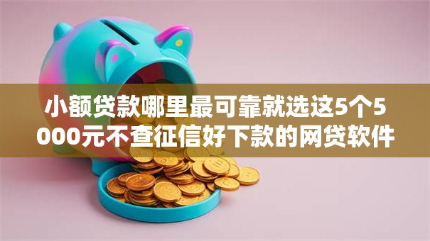 小额贷款哪里最可靠就选这5个5000元不查征信好下款的网贷软件