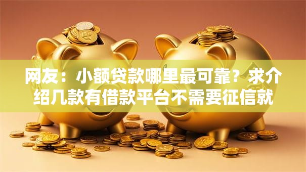 网友:小额贷款哪里最可靠?求介绍几款有借款平台不需要征信就能借钱的 网友:小额贷款哪里最可靠?求介绍几款有借款平台不需要征信就能借钱的