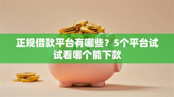 正规借款平台有哪些？5个平台试试看哪个能下款