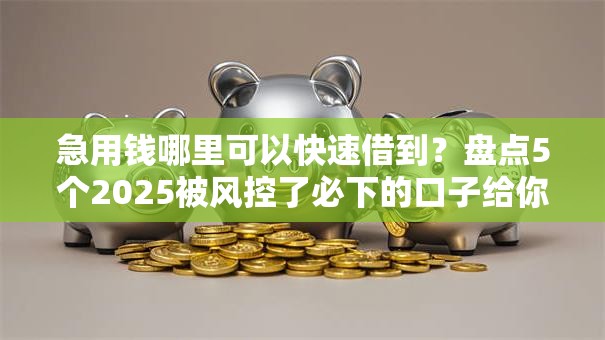 急用钱哪里可以快速借到?盘点5个2025被风控了必下的口子给你参考 急用钱哪里可以快速借到?盘点5个2025被风控了必下的口子给你参考