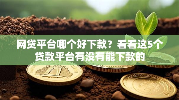 网贷平台哪个好下款?看看这5个贷款平台有没有能下款的 网贷平台哪个好下款?看看这5个贷款平台有没有能下款的