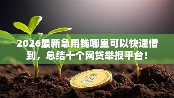2026最新急用钱哪里可以快速借到，总结十个网贷举报平台！