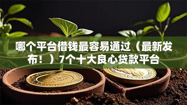 哪个平台借钱最容易通过（最新发布！）7个十大良心贷款平台