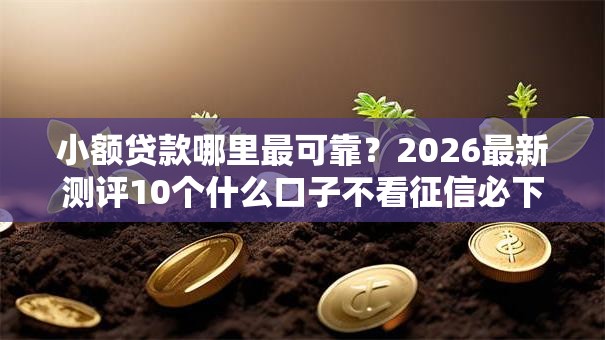 小额贷款哪里最可靠？2026最新测评10个什么口子不看征信必下款