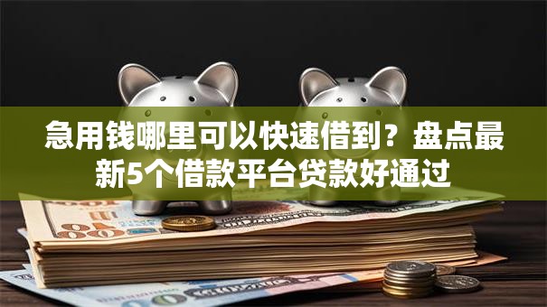 急用钱哪里可以快速借到？盘点最新5个借款平台贷款好通过