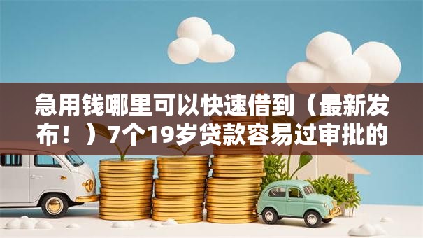 急用钱哪里可以快速借到（最新发布！）7个19岁贷款容易过审批的口子