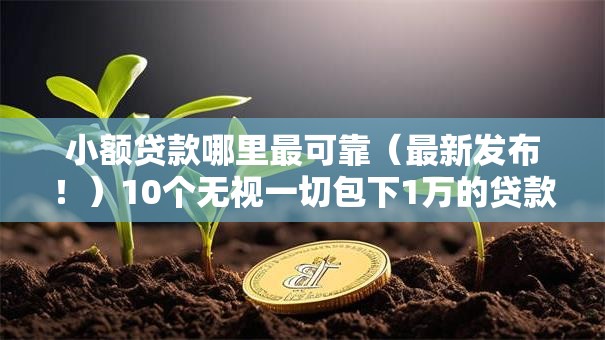 小额贷款哪里最可靠（最新发布！）10个无视一切包下1万的贷款