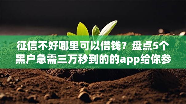 征信不好哪里可以借钱？盘点5个黑户急需三万秒到的的app给你参考