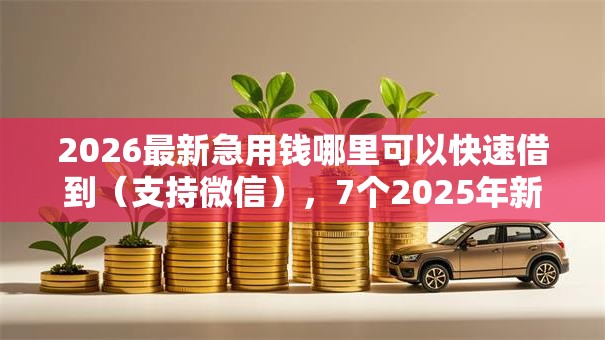 2026最新急用钱哪里可以快速借到（支持微信），7个2025年新平台黑户也能下款这种无私分享