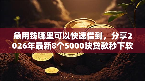 急用钱哪里可以快速借到,分享2026年最新8个5000块贷款秒下软件 急用钱哪里可以快速借到,分享2026年最新8个5000块贷款秒下软件