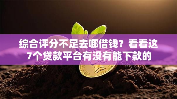 综合评分不足去哪借钱？看看这7个贷款平台有没有能下款的