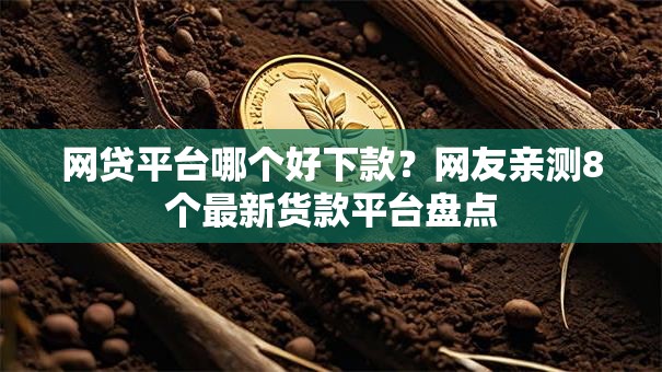 网贷平台哪个好下款？网友亲测8个最新货款平台盘点