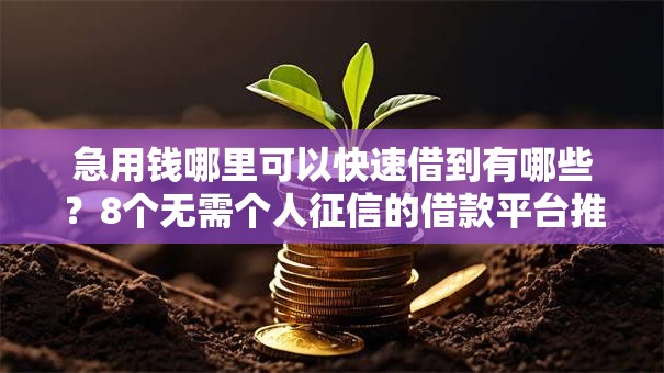 急用钱哪里可以快速借到有哪些?8个无需个人征信的借款平台推荐给你 急用钱哪里可以快速借到有哪些?8个无需个人征信的借款平台推荐给你
