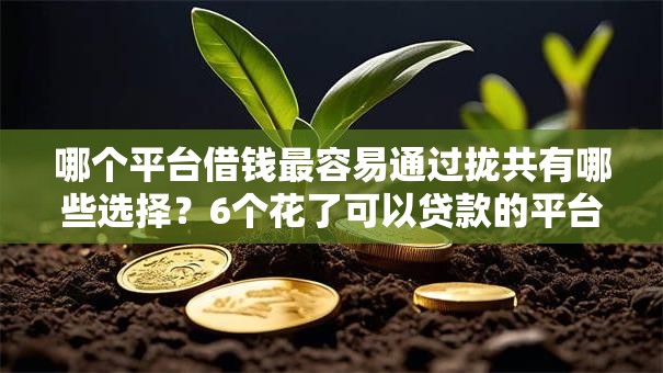 哪个平台借钱最容易通过拢共有哪些选择？6个花了可以贷款的平台详解