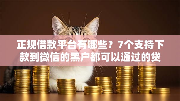 正规借款平台有哪些？7个支持下款到微信的黑户都可以通过的贷款平台