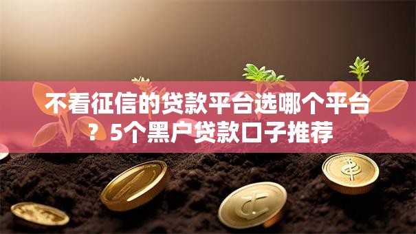 不看征信的贷款平台选哪个平台？5个黑户贷款口子推荐