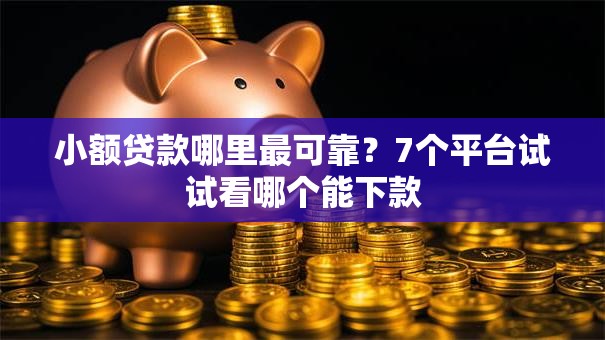 小额贷款哪里最可靠？7个平台试试看哪个能下款