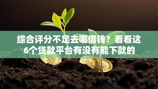 综合评分不足去哪借钱？看看这6个贷款平台有没有能下款的