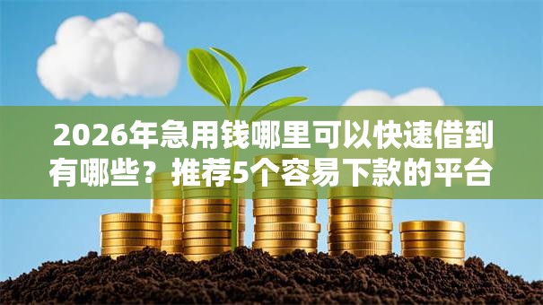 2026年急用钱哪里可以快速借到有哪些?推荐5个容易下款的平台 2026年急用钱哪里可以快速借到有哪些?推荐5个容易下款的平台