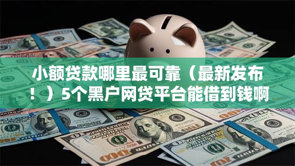 小额贷款哪里最可靠（最新发布！）5个黑户网贷平台能借到钱啊急用